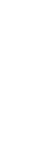 あなたがいきる場所に、革命と情熱を。