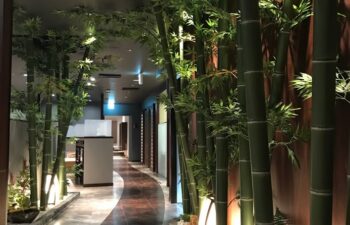 （株）神明飲食店店舗装飾工事