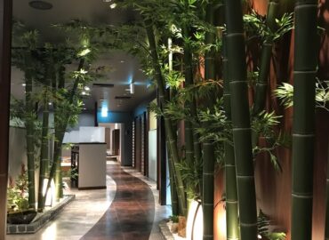 （株）神明飲食店店舗装飾工事