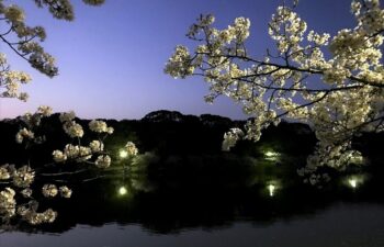 高砂ショウハウスクリエイティ部⑤クリエイティビティを高める会