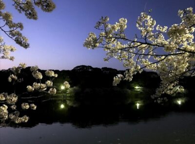 高砂ショウハウスクリエイティ部⑤クリエイティビティを高める会