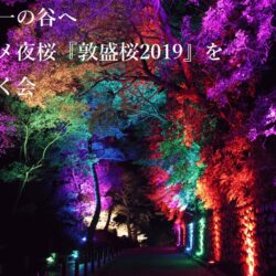 須磨　敦盛桜2019