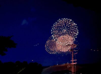 奈良　若草山焼き