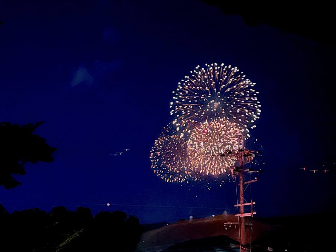 奈良　若草山焼き